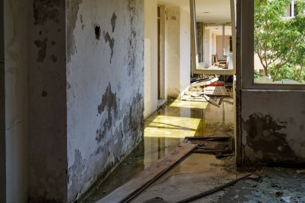 Cost of Water Removal Service in Menifee